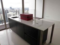 Scotts Square (D9), Apartment #467676151